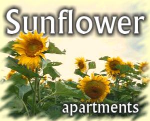 Sunflower Apartments in Xlendi Bay